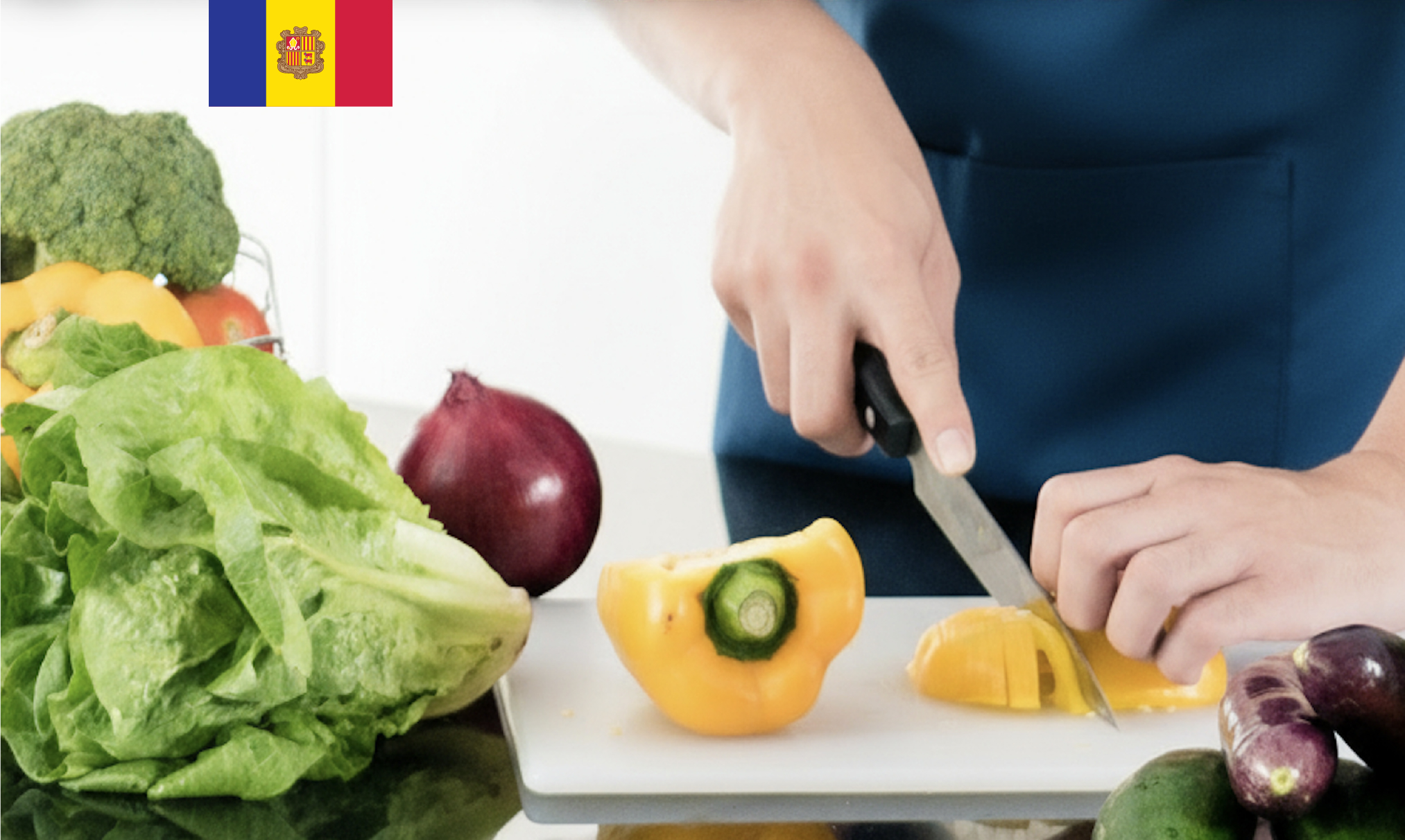 Formació Manipulador d’Aliments (CATALÀ)